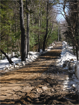 Erosion_Control