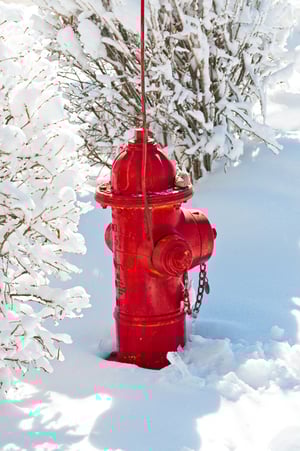 A red fire hydrant with an NCT hydrant marker attached is surrounded by snow on the ground and nearby bushes