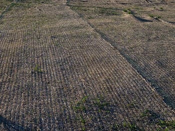 close up image of an erosion blanket