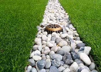 Trench drain surrounded by grass