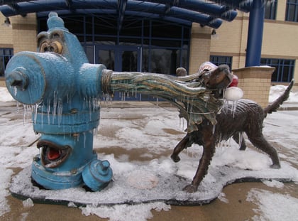 EJP Hydrant and Dog