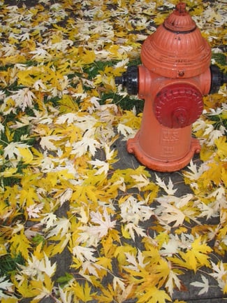 fall-fire-hydrant