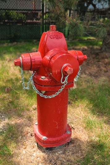 Hydrant Spring