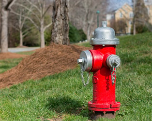 hydrant-spring.png