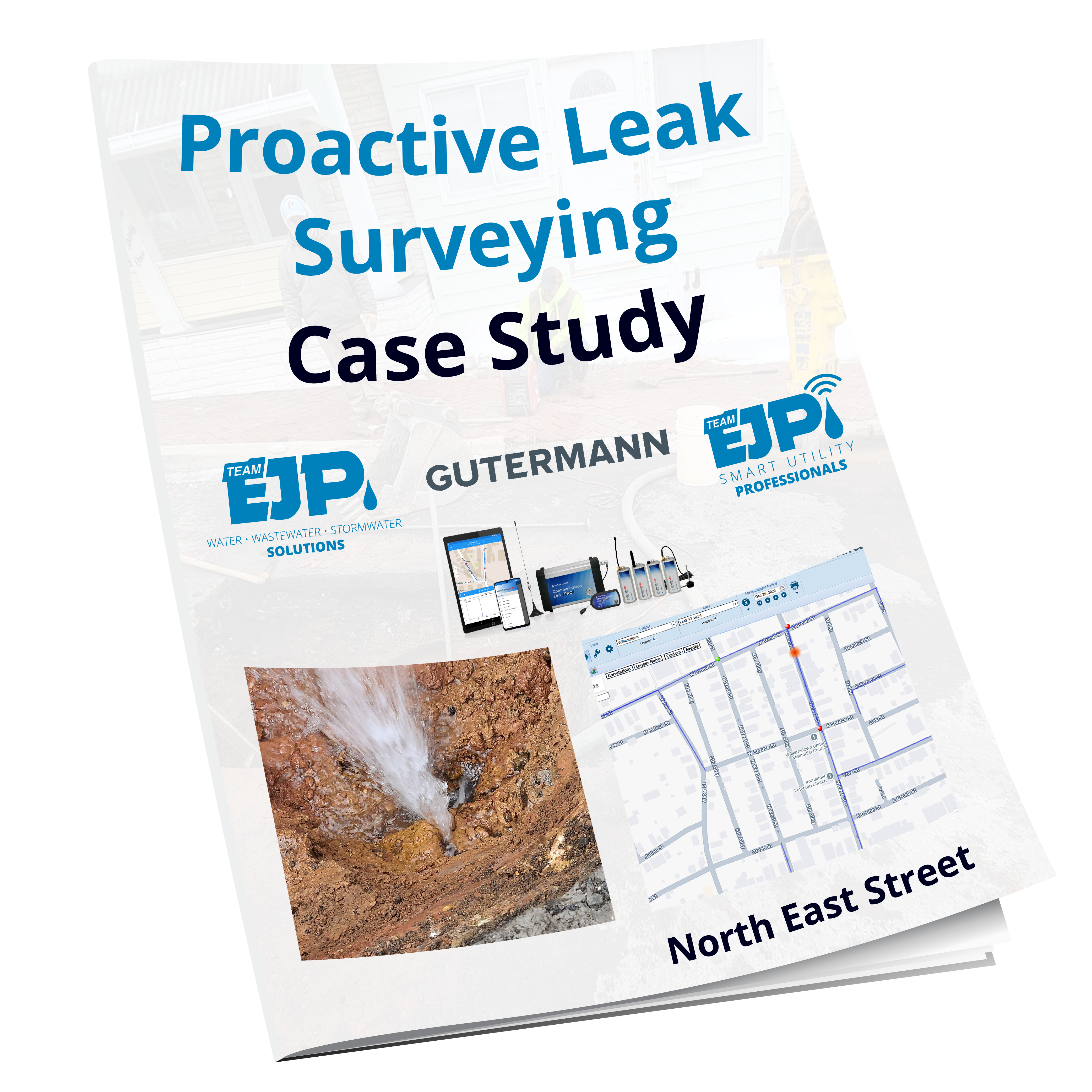 Proactive Leak Surveying