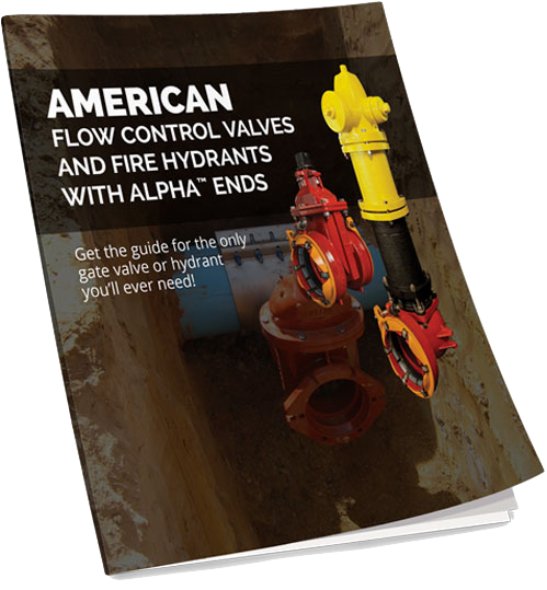 Gate Valve ALPHA Book Cover