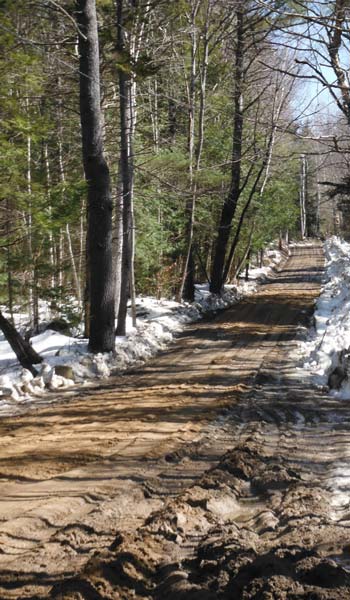 Spring Erosion Control