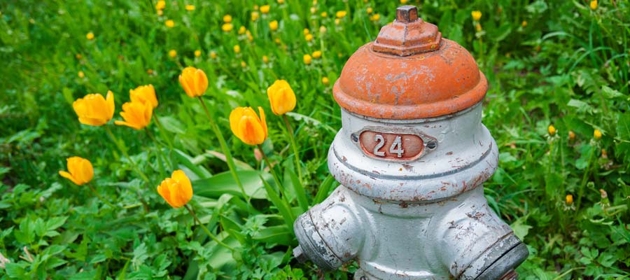 It's Spring - Have You Maintained Your Hydrants Lately? Blog Post Featured Image